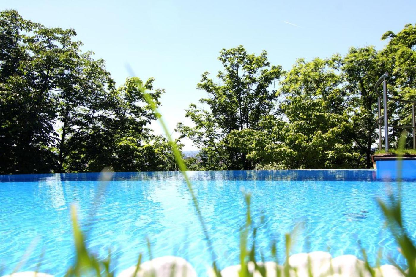 Villa Via Lapis - Panoramablick Ueber Dresden - Garten - Pool - Sauna - Luxus Kültér fotó
